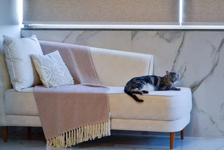 Conforto e estilo para quem tem animais em casa - Clocasa | Além do Conforto