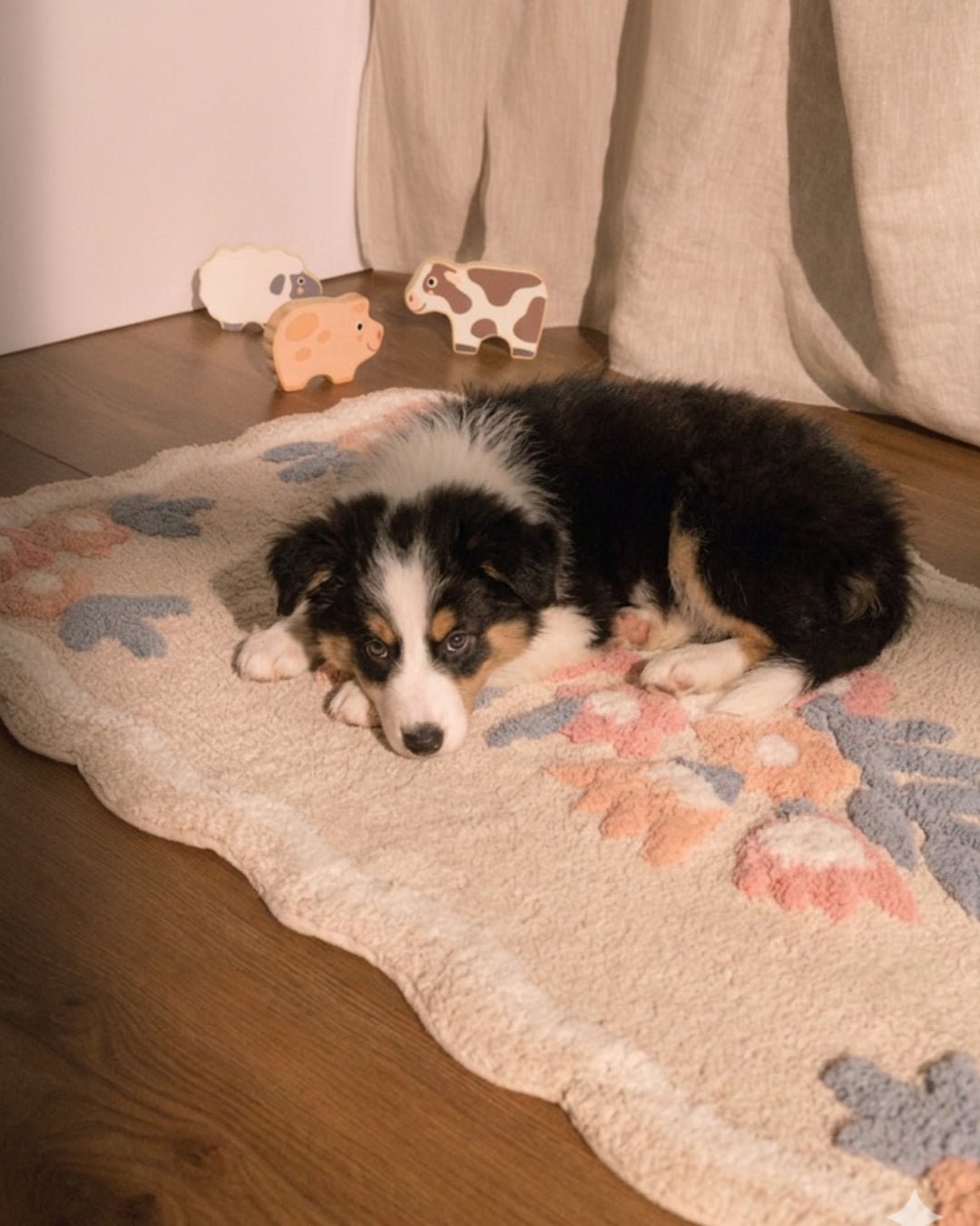 Design pet-centric: quando a casa se adapta ao afeto e não o contrário - Clocasa | Além do Conforto